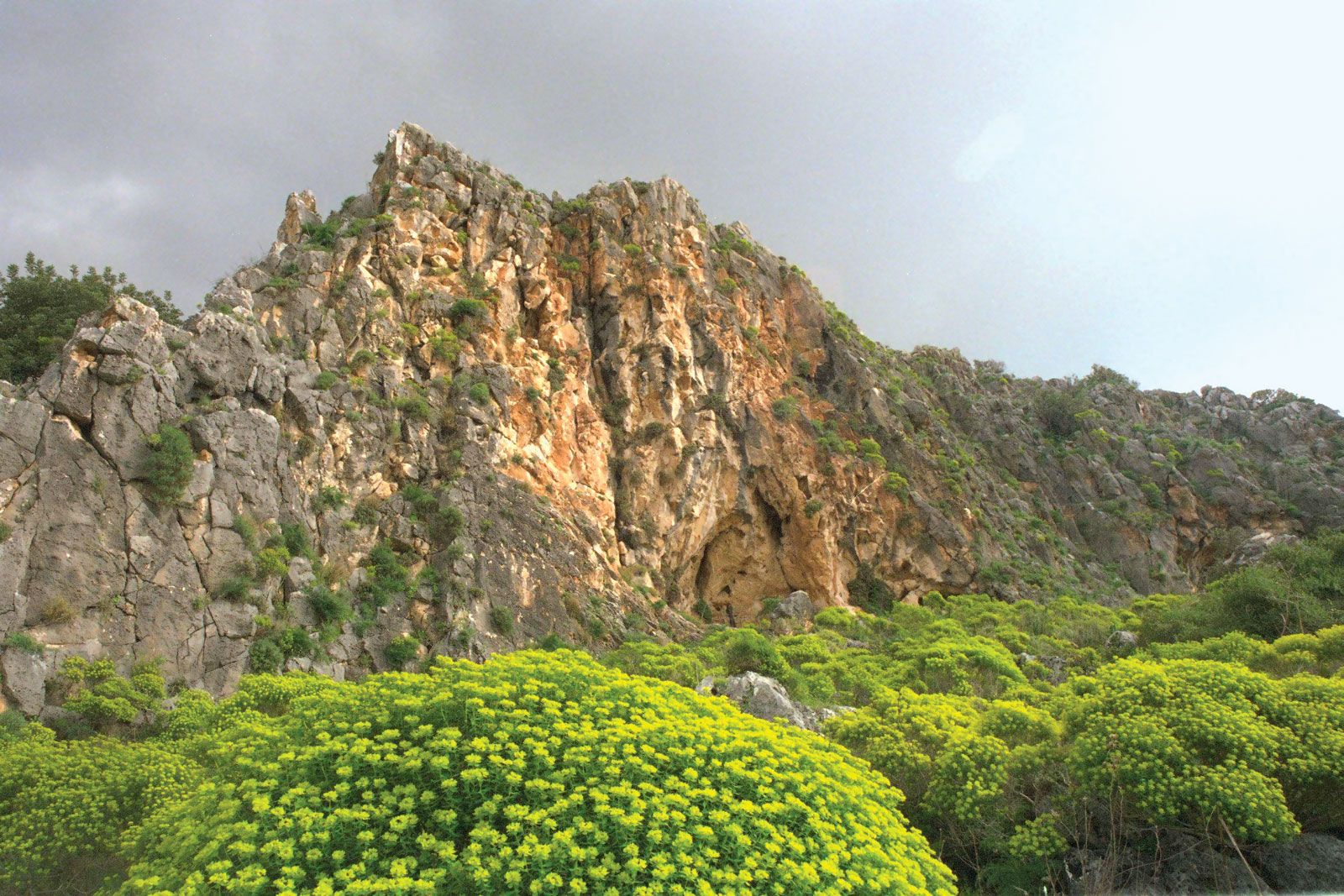 Descubriendo Montecarmelo, un tesoro de Israel