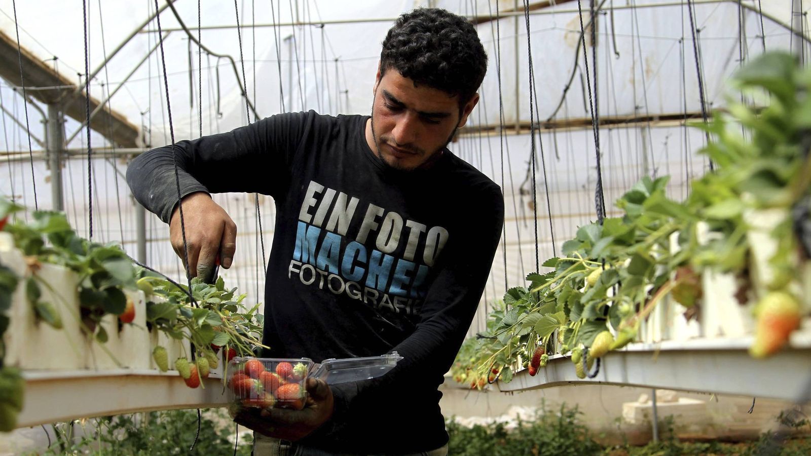 Productos israelíes en España, diversidad para todos los gustos